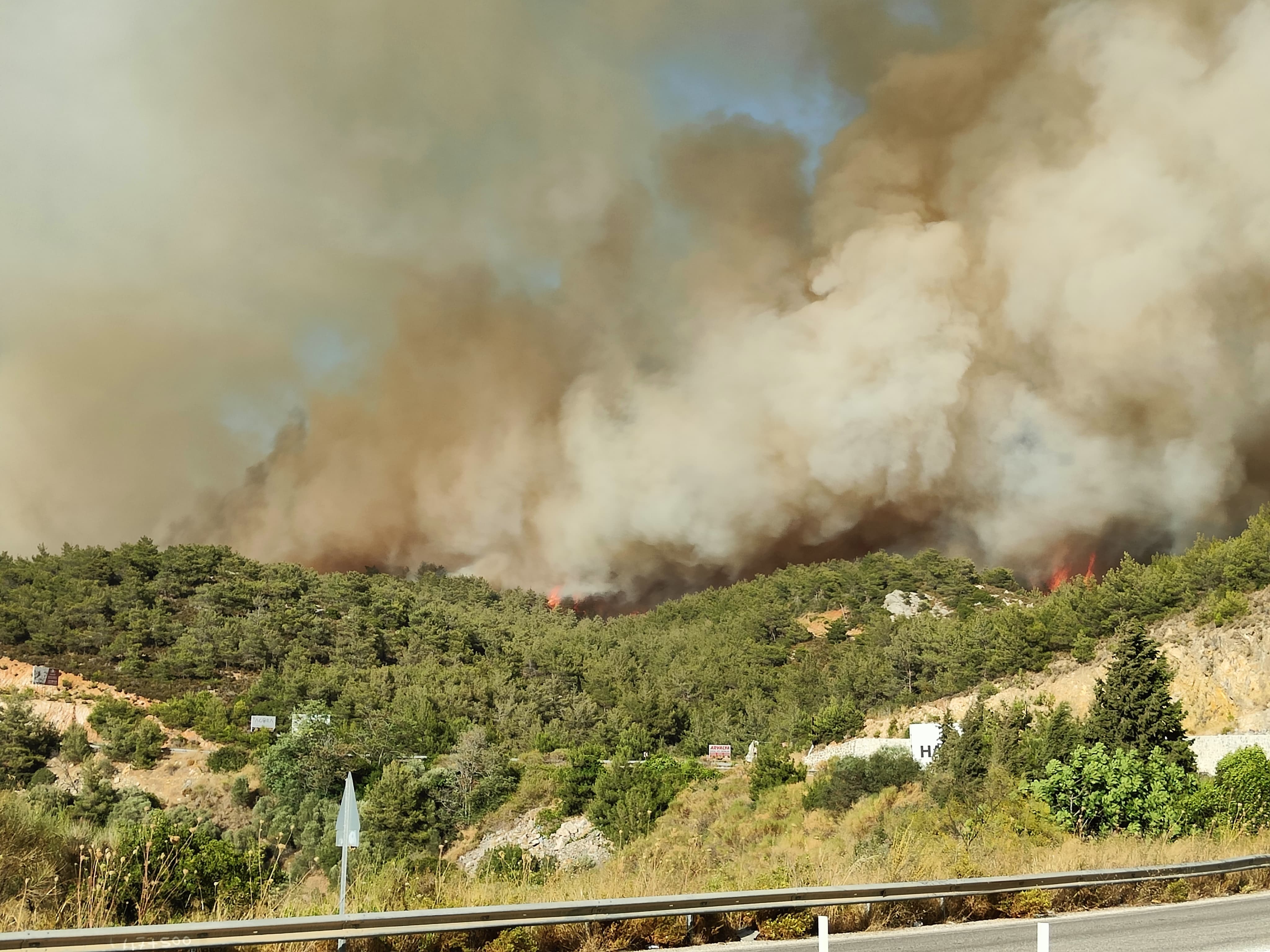 Selçuk'taki yangın Kuşadası'na sıçradı
