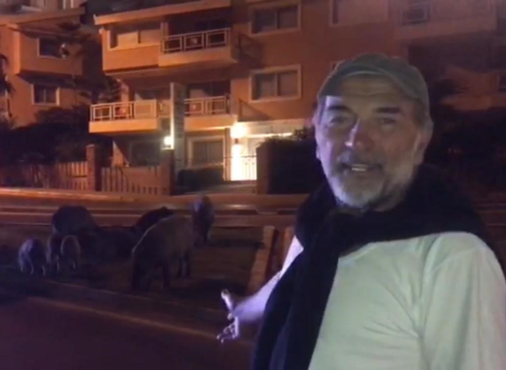 Ünlü Oyuncu, Sosyal Medyayı Kuşadası'ndan Domuzlarla Paylaştı