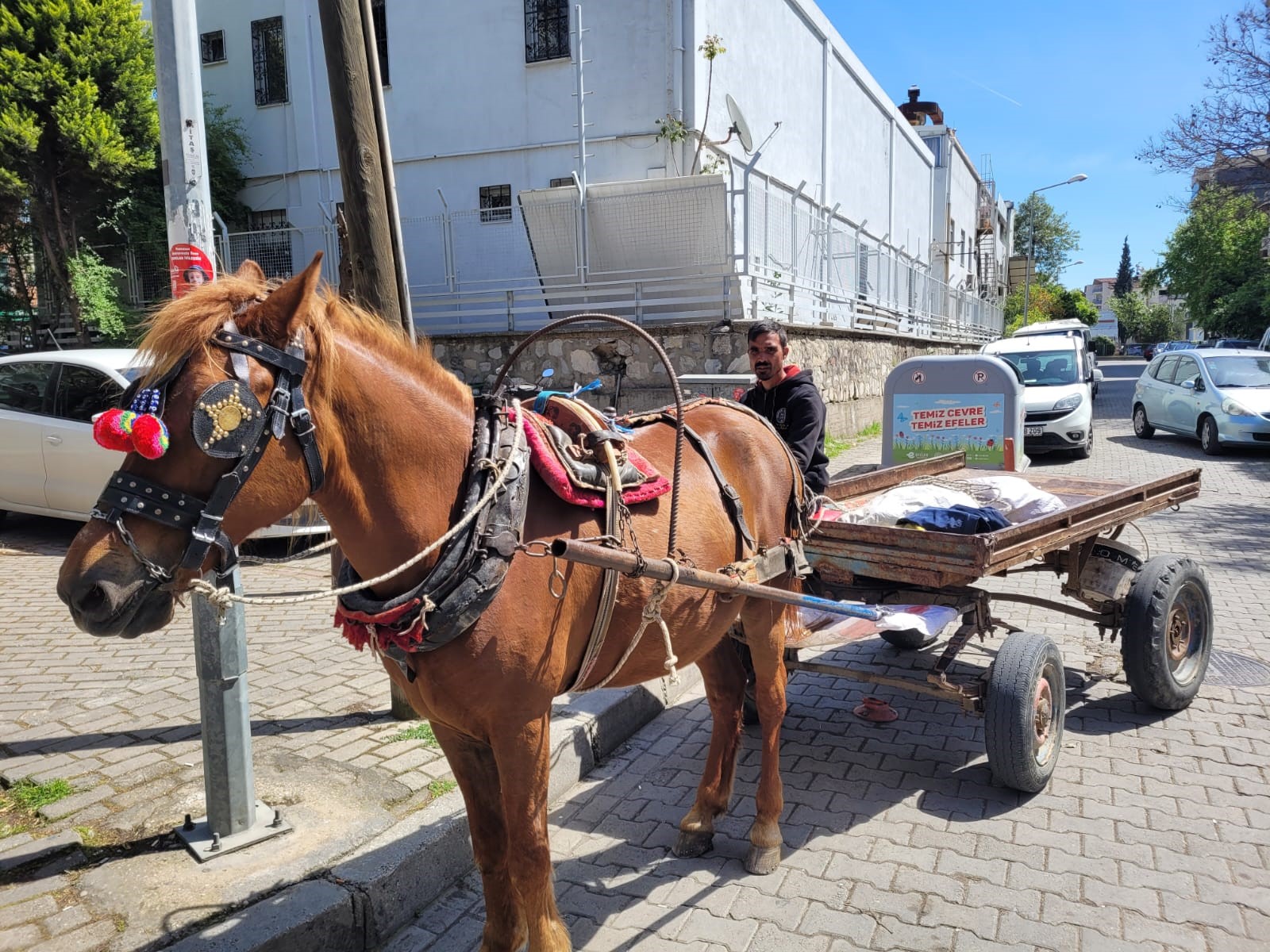 Aydın'ın son at arabacısı, evinin ve 5 çocuğunun iaşesini atıyla karşılıyor