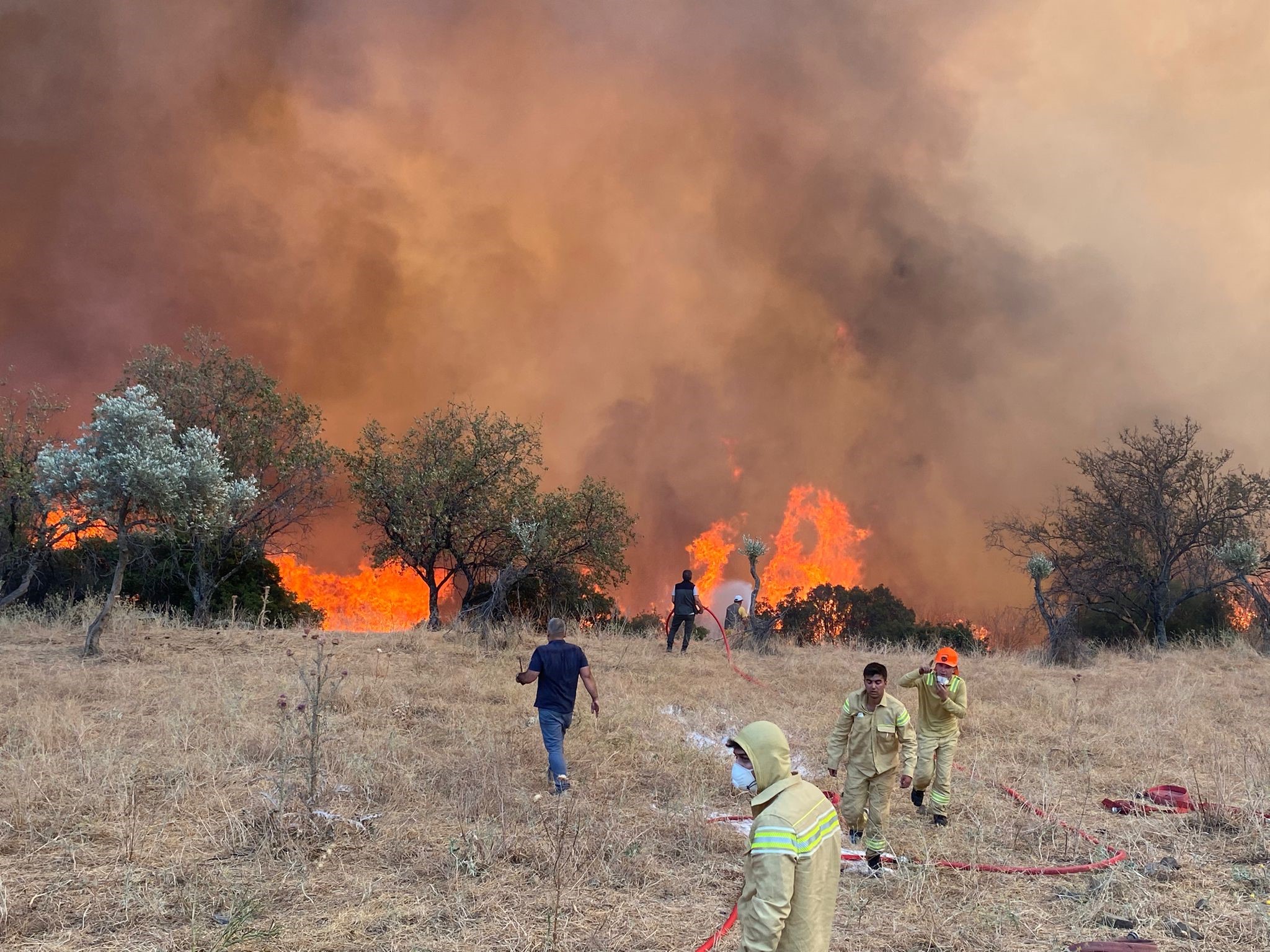 Aydın’da hafta sonu 11 yangın çıktı