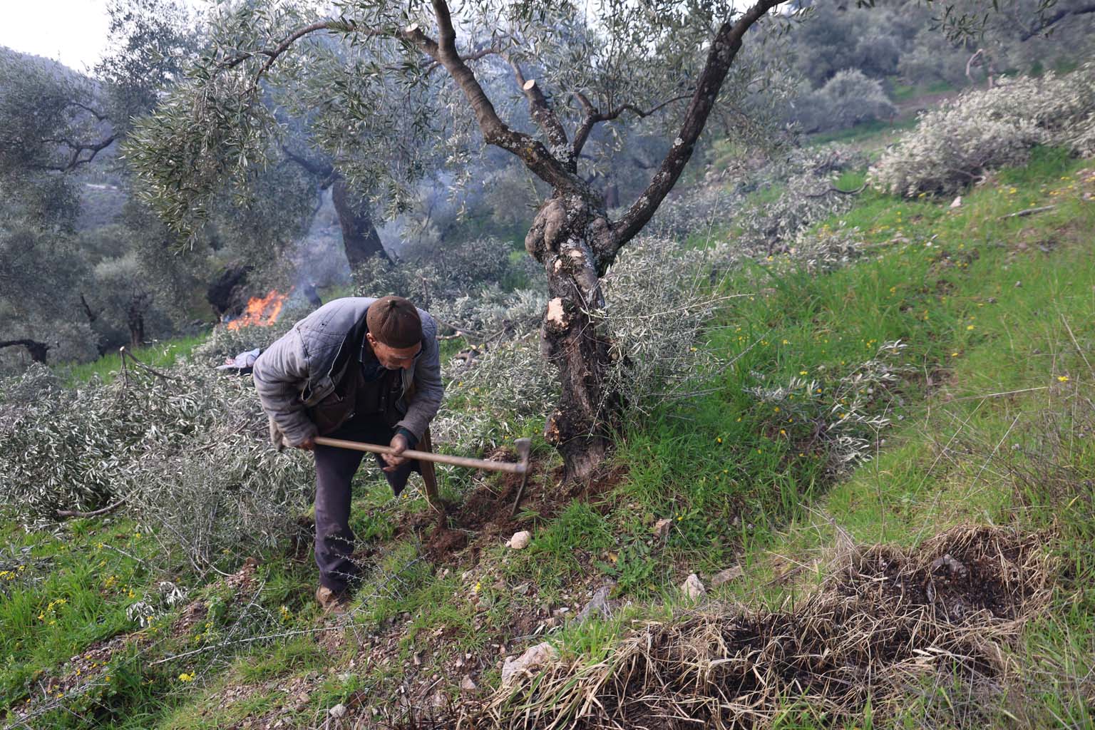 Film sahnesi değil gerçek hayat